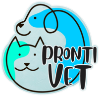 logo (1) (2)